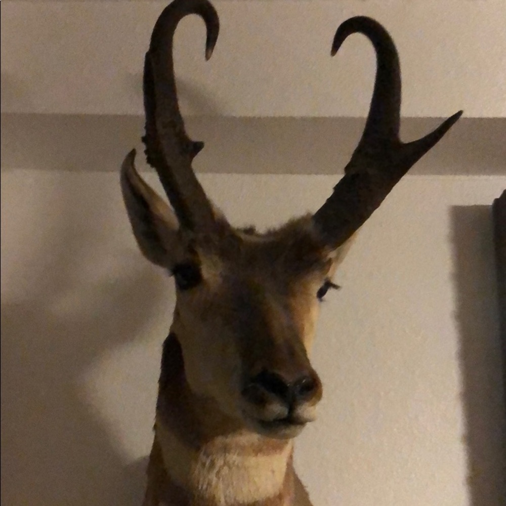 Meet your Posher, Sebastian